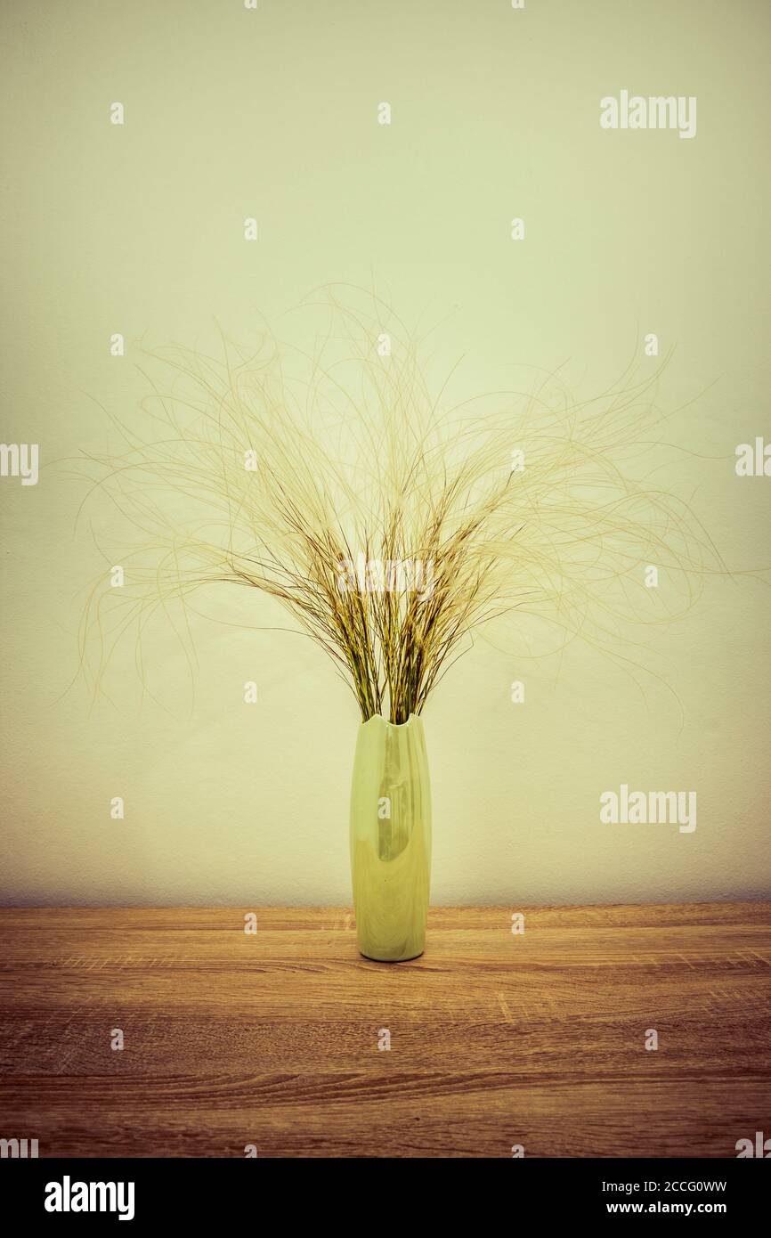 Feather grass in a vase Stock Photo