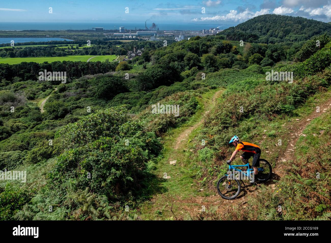 A man rides a mountain bike on a trail at Margam Country Park near Port Talbot in South Wales Stock Photo Alamy