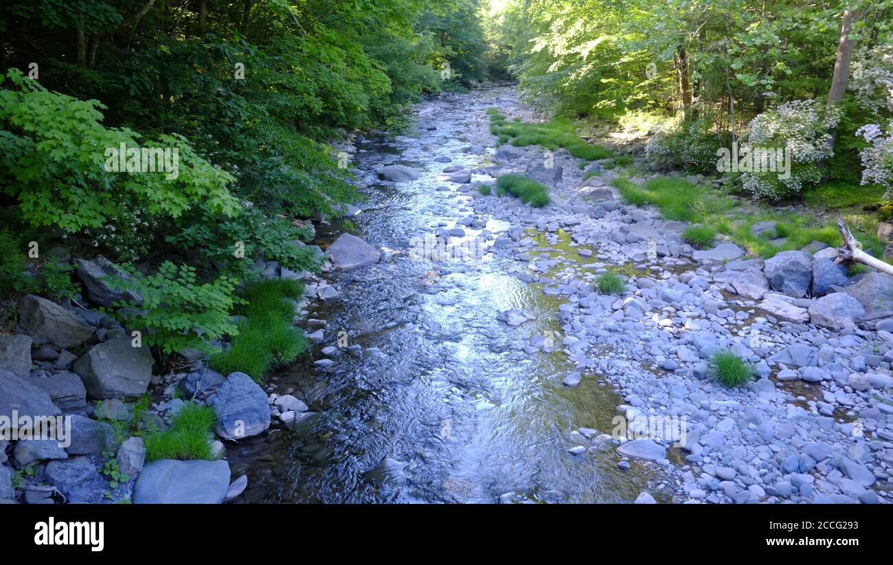 Tannery Brook which runs through Woodstock NY is a tributary to Hudson River Stock Photo