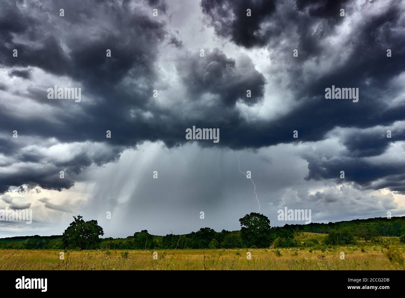 Landscape with forest and stormy skies with heavy rain Stock Photo