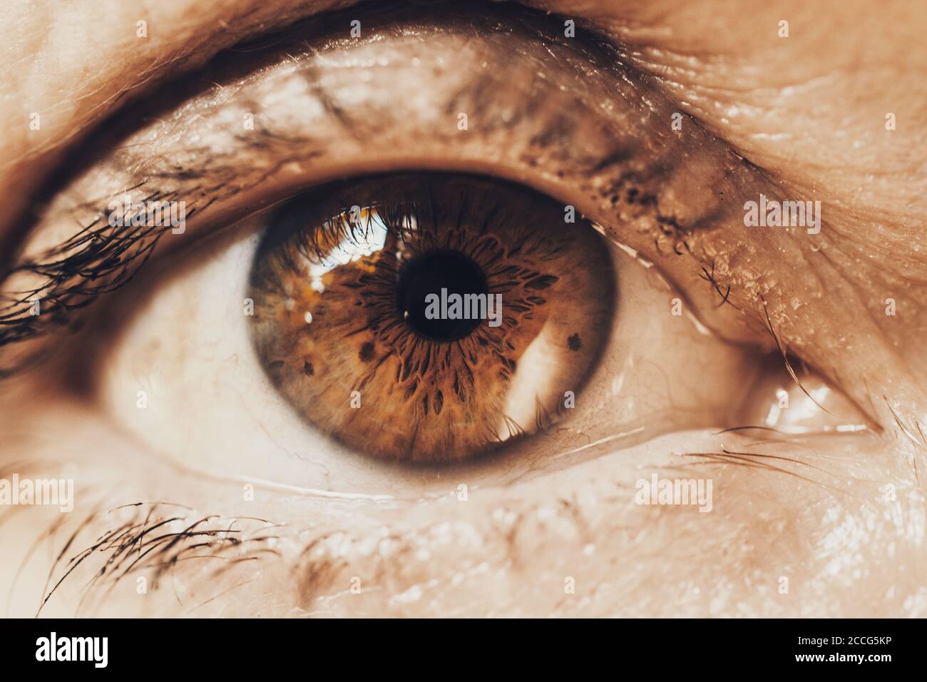 close-up detail of mature woman with brown green eye Stock Photo