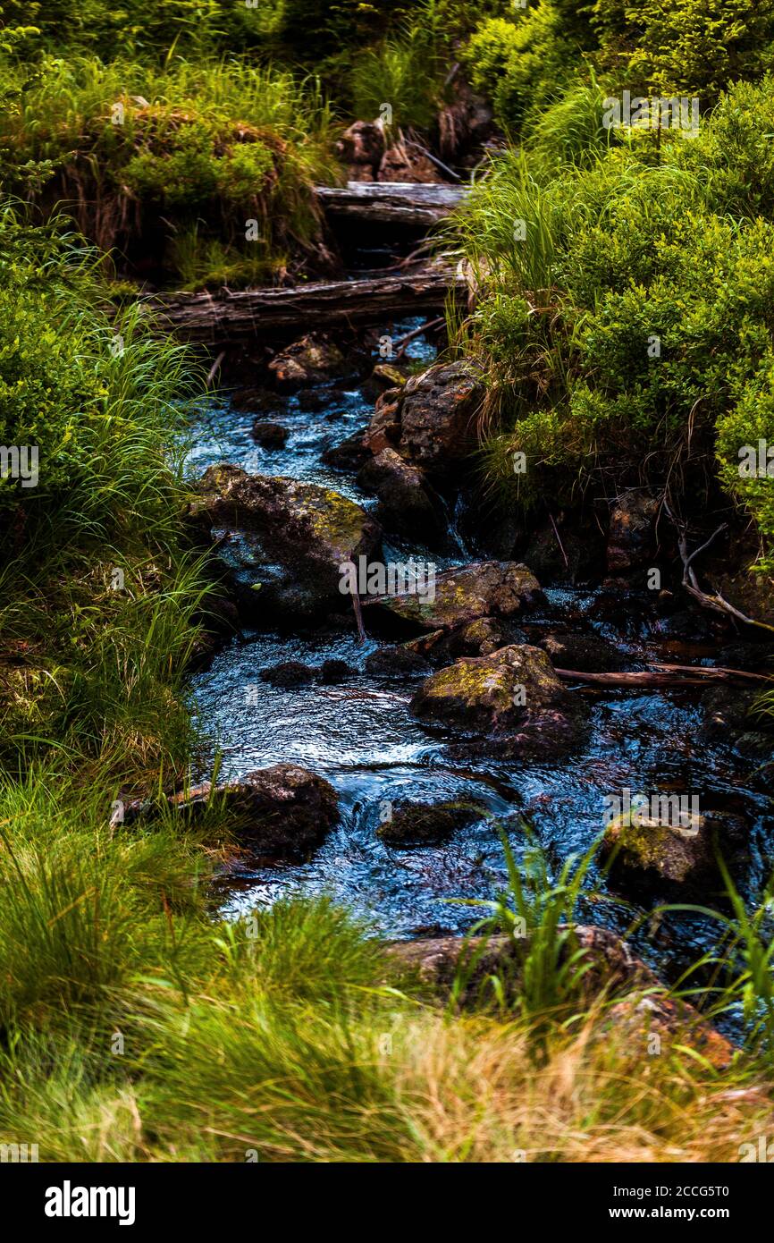 Europe, Germany, Bavaria, Bavarian Forest, National Park, small alpine ...