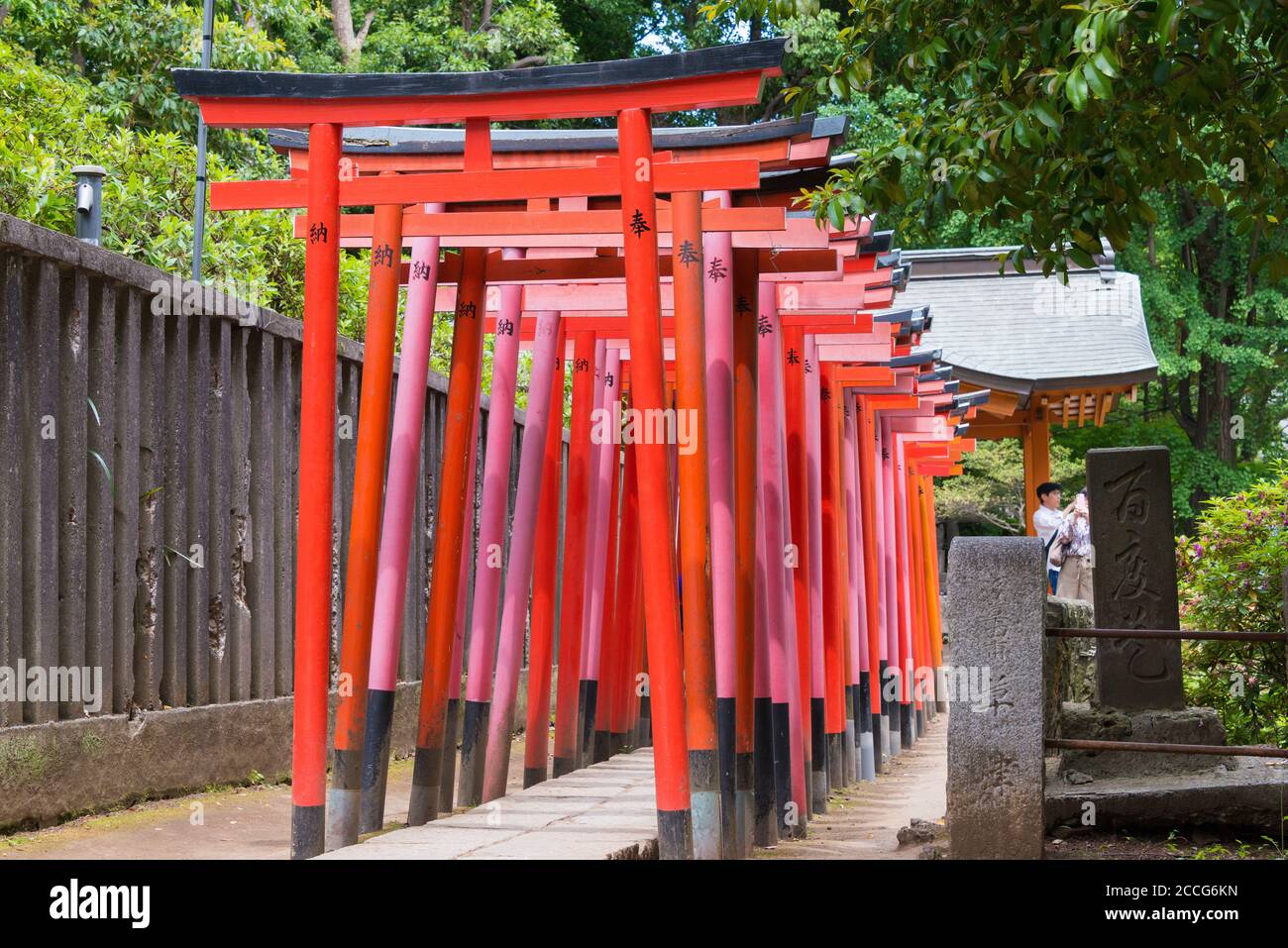 Nezu shrine torii gate hi-res stock photography and images - Alamy