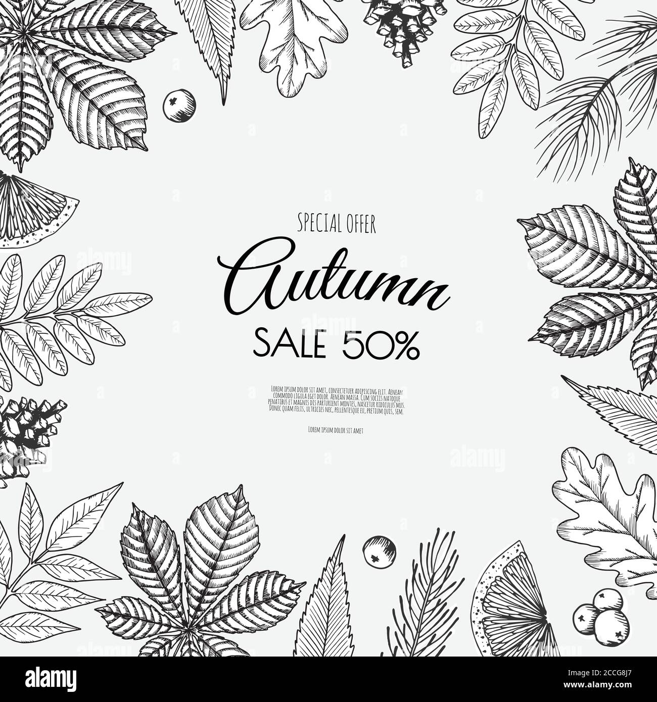 Autumn fall beautiful foliage leaves color color trees Black and White ...