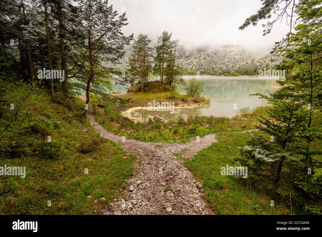 Eisheilige am Eibsee, a hiking trail forks, in the background the Eibsee with peninsula and snow on the trees, while pollen drifts in a small bay. Stock Photo