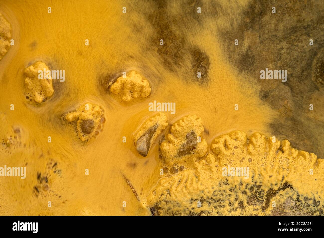 Macro shot of yellow pollen on the banks of the Eibsee. Part of it moves through the wave and others sticks to the stone with bizarre patterns. Stock Photo