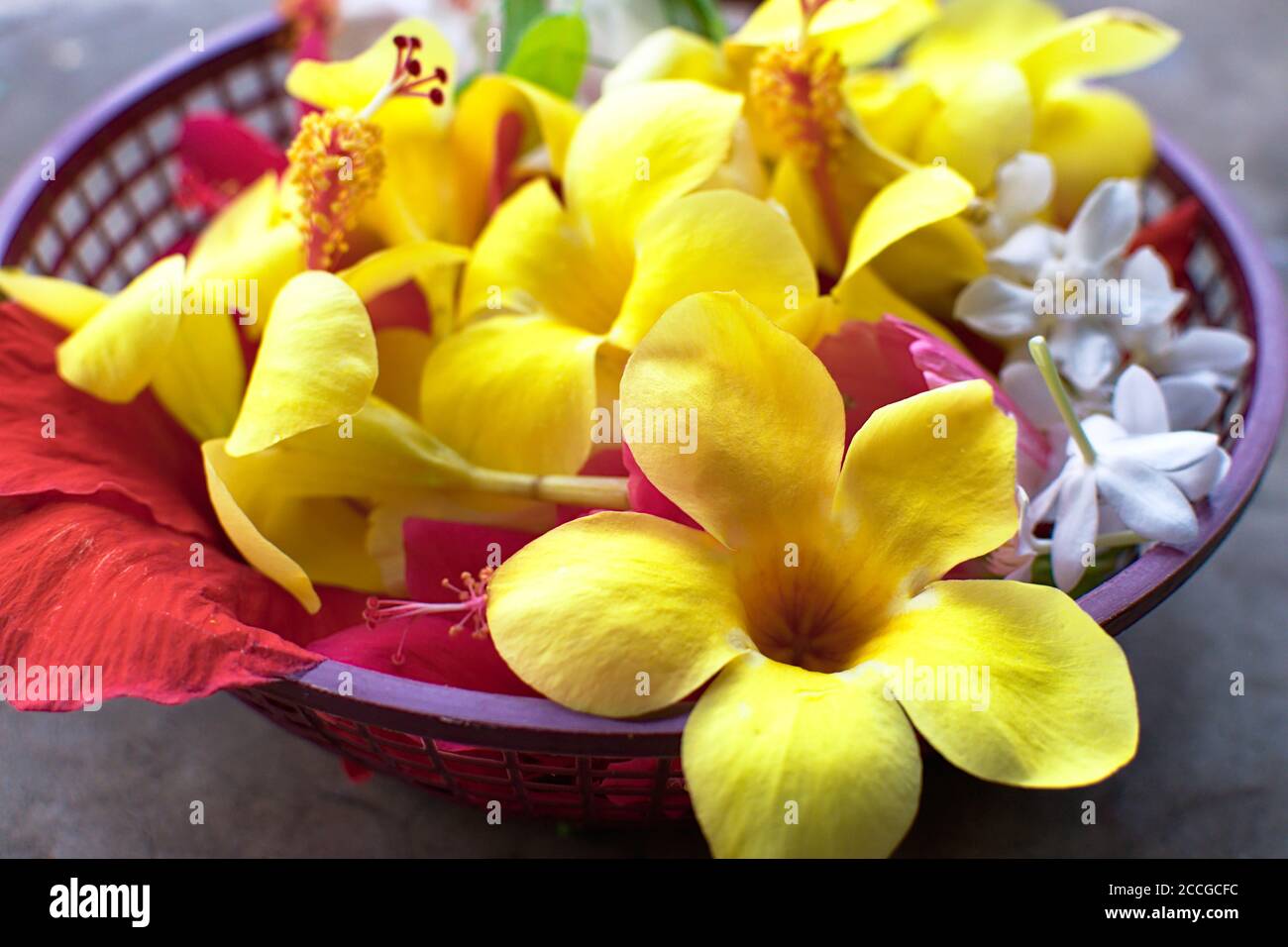 Plastic gods hires stock photography and images Alamy