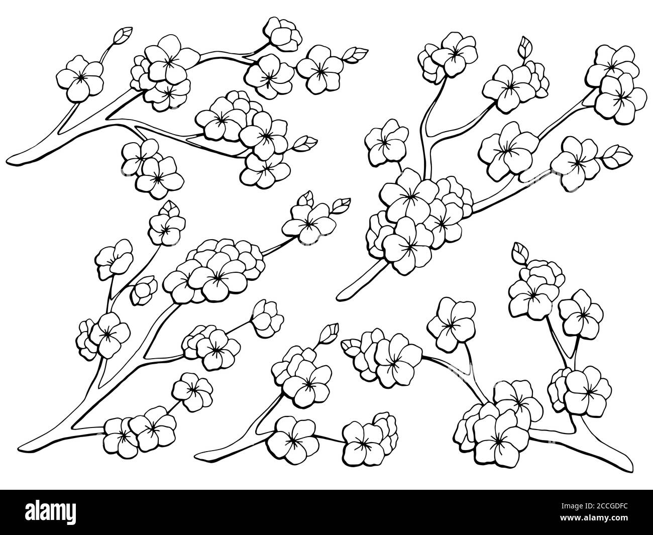 Sakura graphic flower branch black white isolated sketch set illustration vector Stock Vector