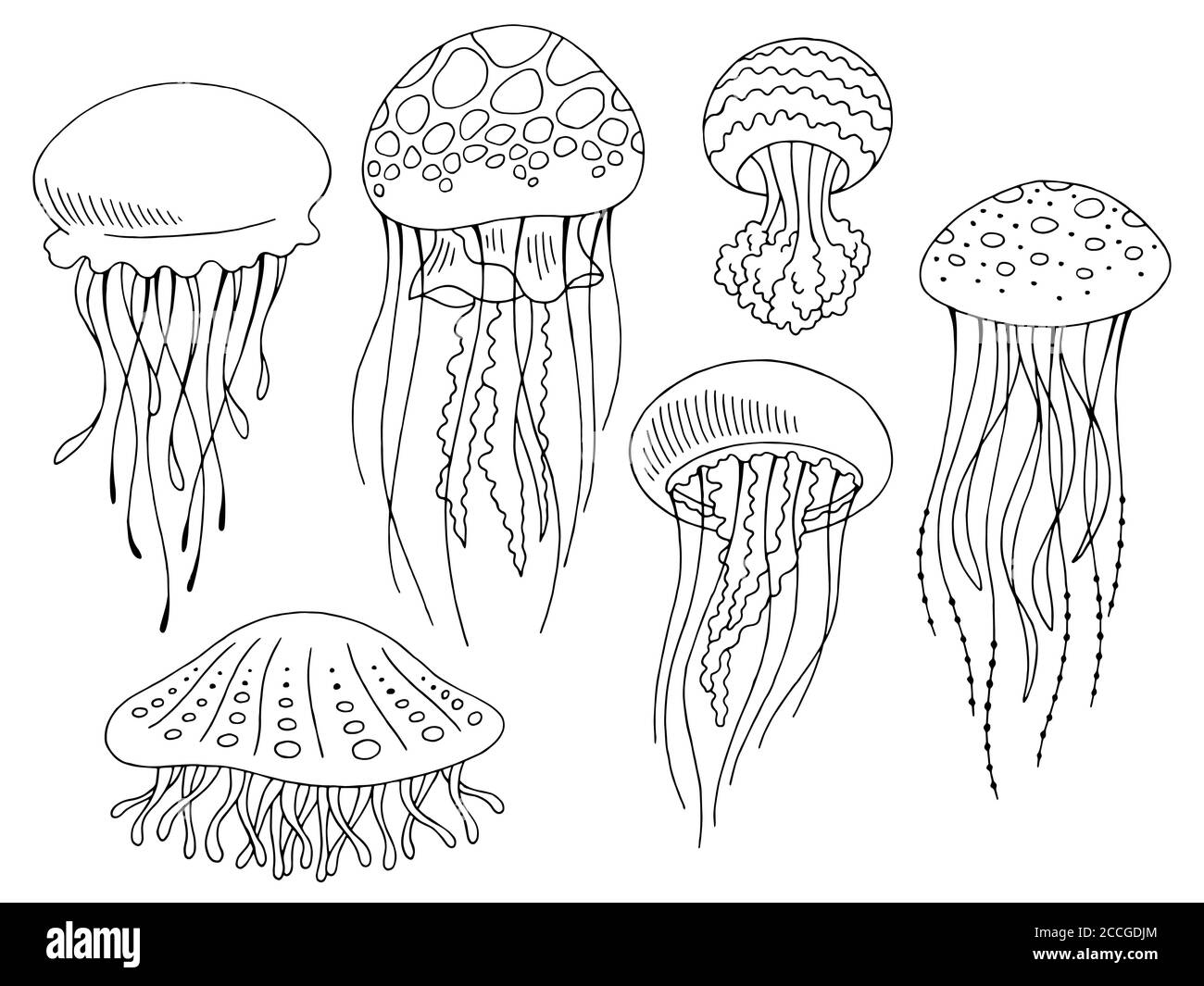 Jellyfish graphic set black white isolated sketch illustration vector Stock Vector