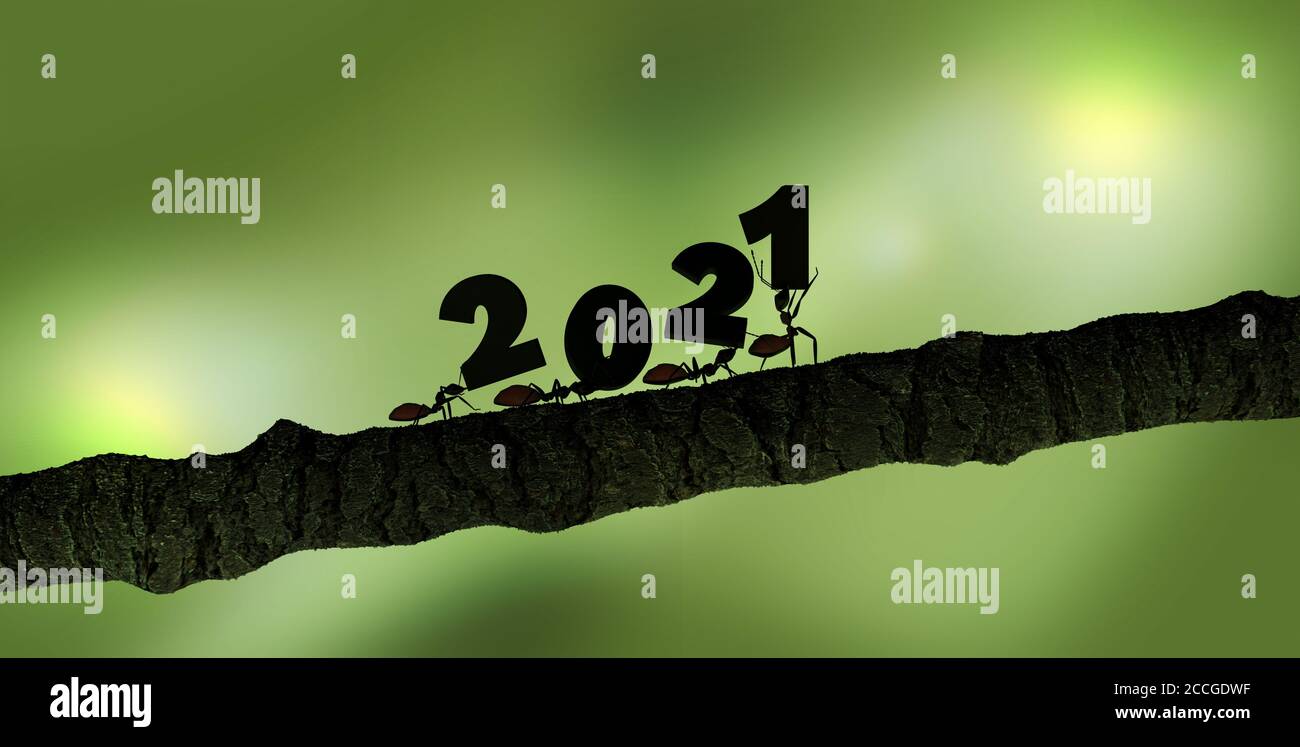 ants lifting 2021 numbers green background 3D rendering Stock Photo