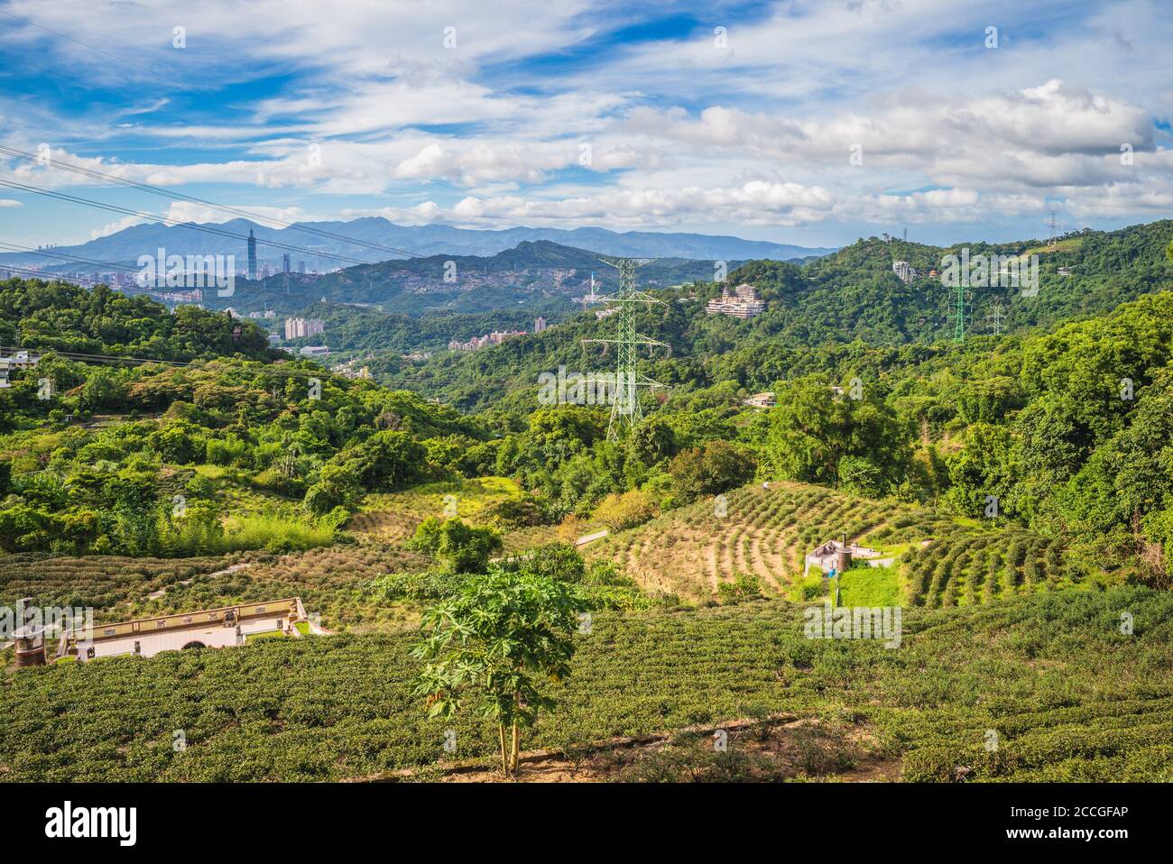 Scenery of Maokong Tea Garden in Taipei, Taiwan Stock Photo