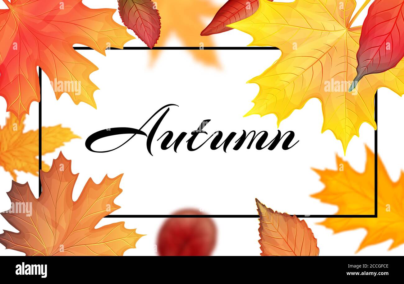 Colorful autumn leaves frame. Vector illustration Stock Vector
