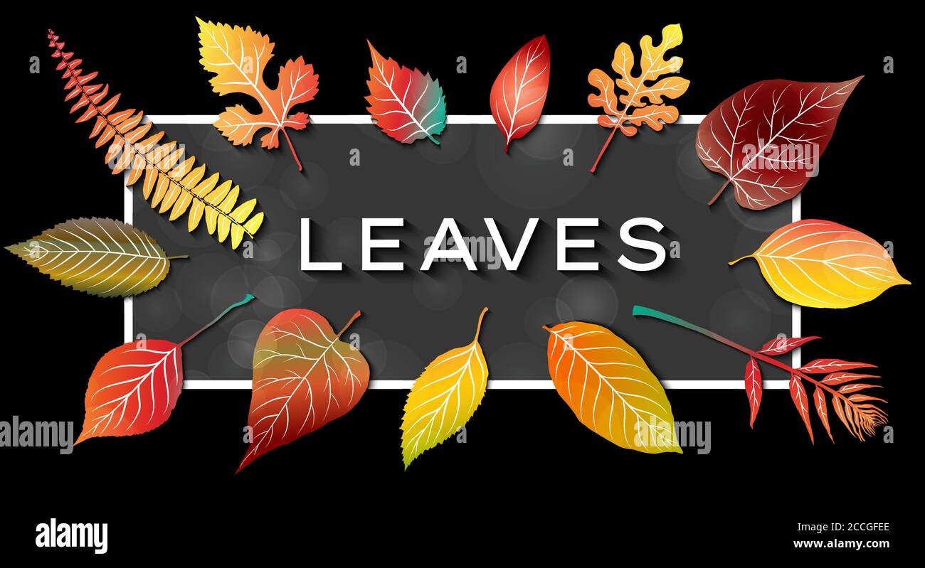 Colorful autumn leaves frame. Vector illustration Stock Vector Image ...