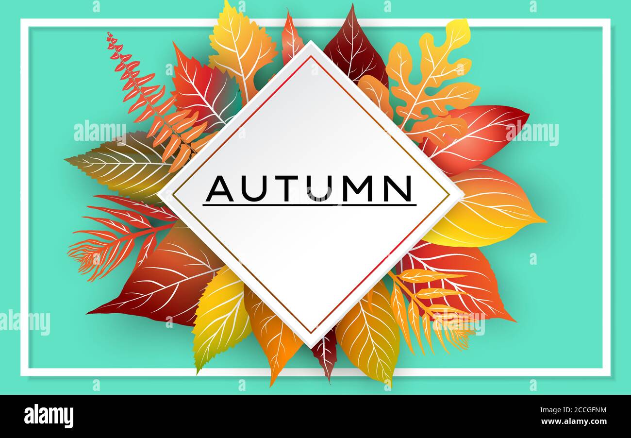 Autumn colorful leaves background. Vector illustration Stock Vector ...