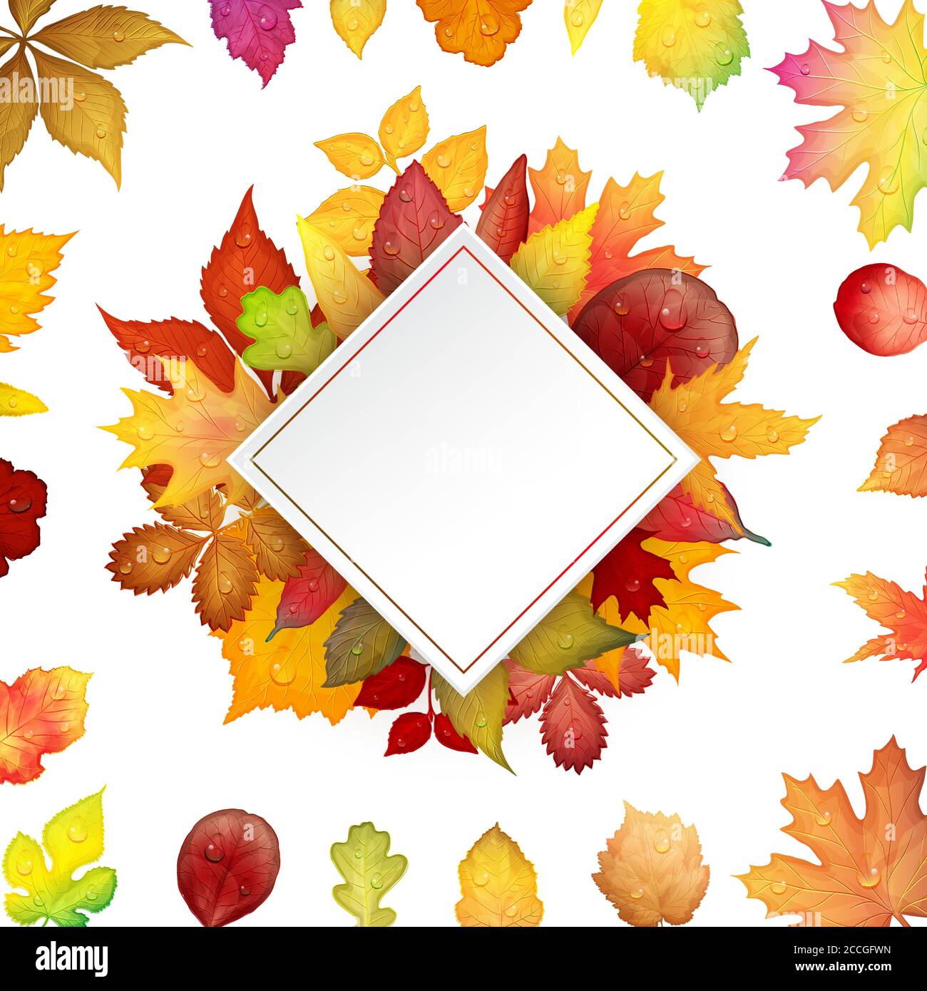Colorful autumn leaves frame on white background. Vector illustration ...