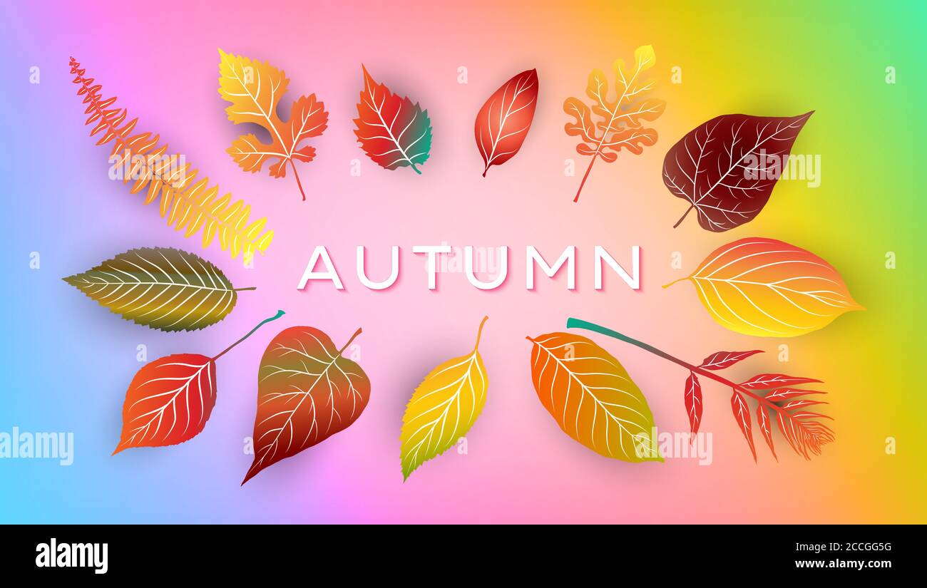 Autumn background with bright autumn leaves. Vector illustration Stock ...