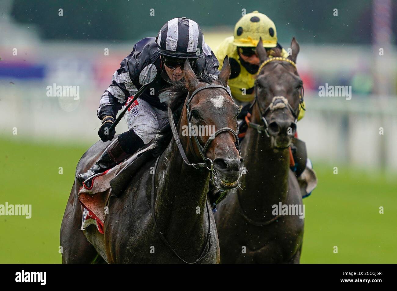 Certain Lad ridden by Hollie Doyle (left) wins The Sky Bet And Symphony Group Strensall Stakes during day four of the Yorkshire Ebor Festival at York Racecourse. Stock Photo