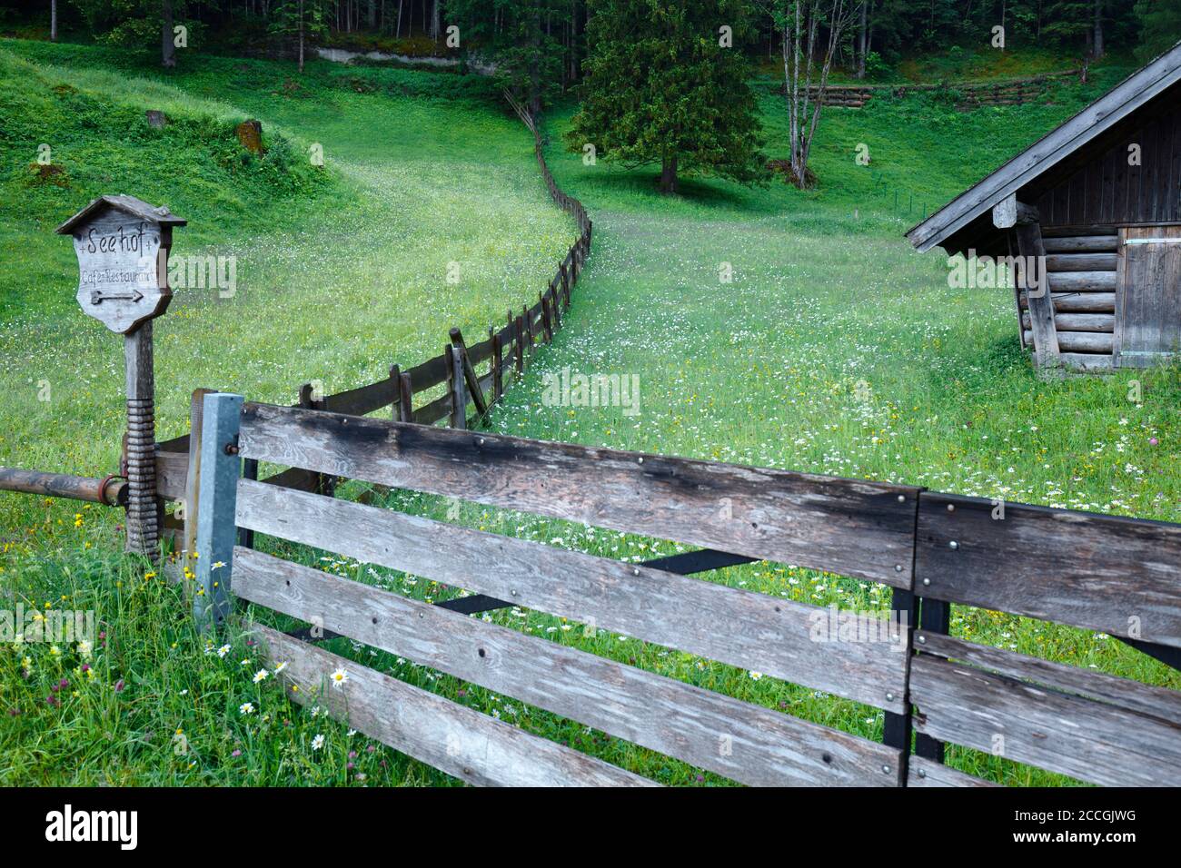 Alpine meadows separated by wooden fence Stock Photo