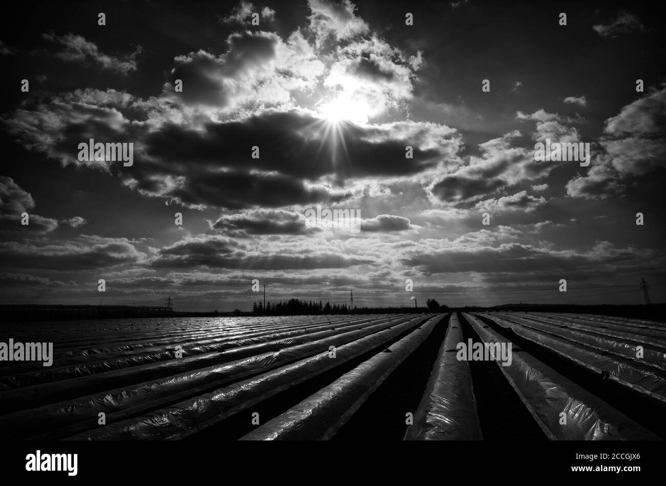 Landscape cloudy sky cover Black and White Stock Photos & Images - Alamy