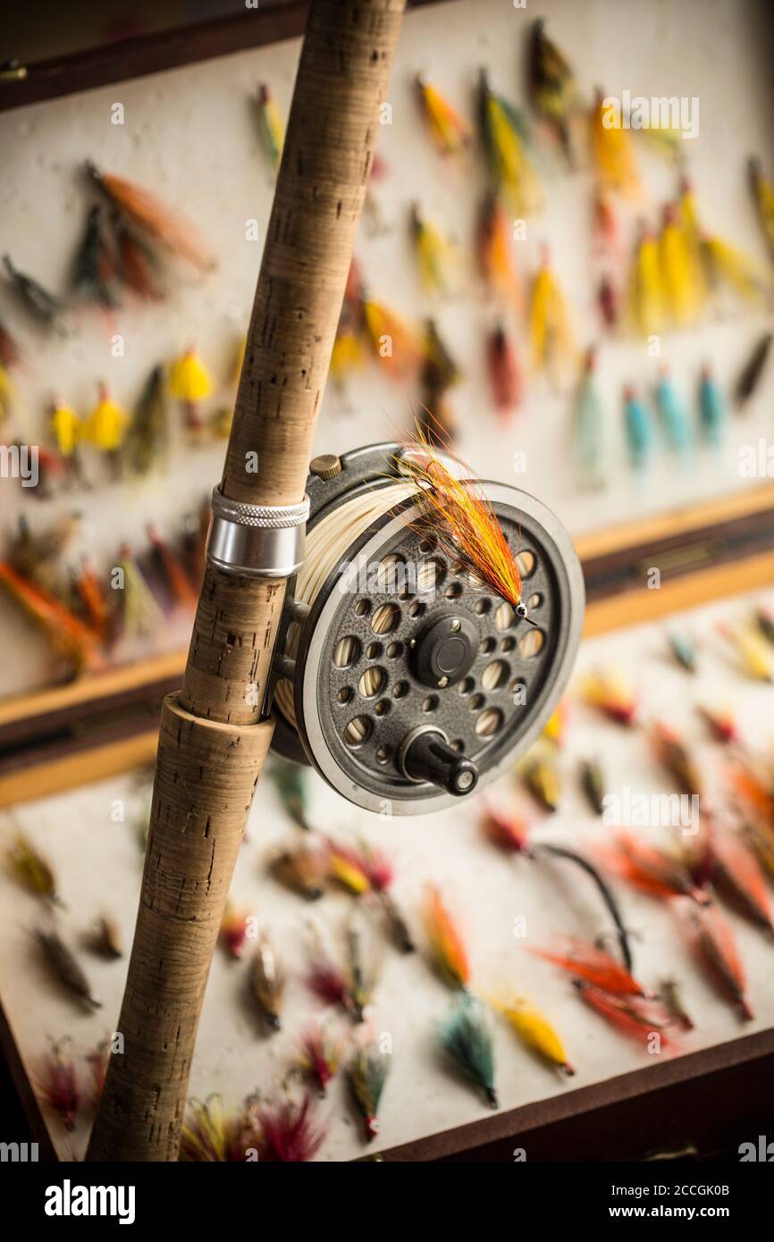 A collection of salmon flies in a fly box or reservoir, with a J.W
