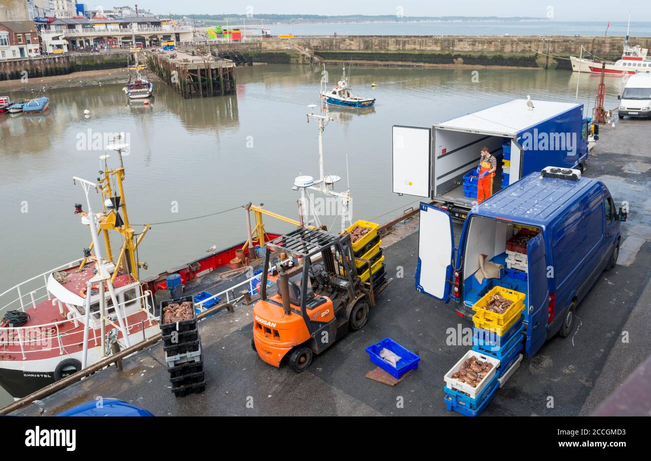 Loading freshly caught crabs onto a lorry and van at Bridlington Harbour, East Yorkshire Stock Photo