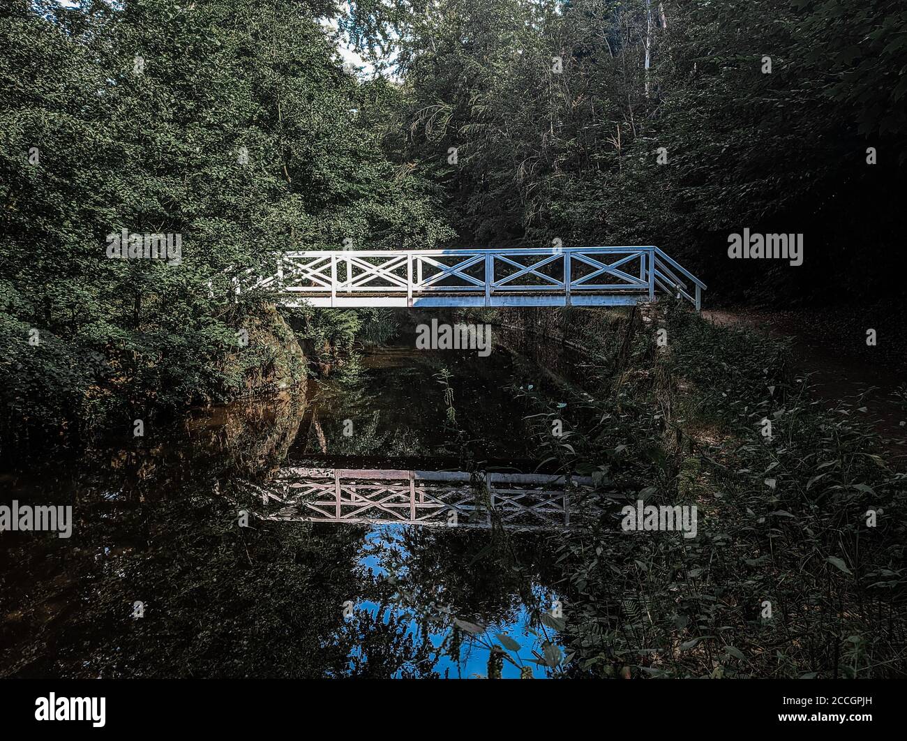 Wooden Bridge in a Forest Stock Photo - Alamy