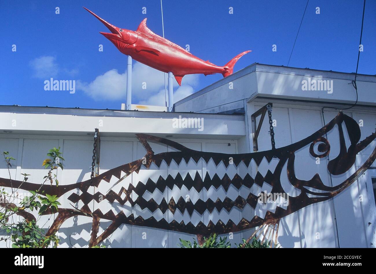 Wooden bait sign on the exterior of a fishing shop Stock Photo - Alamy