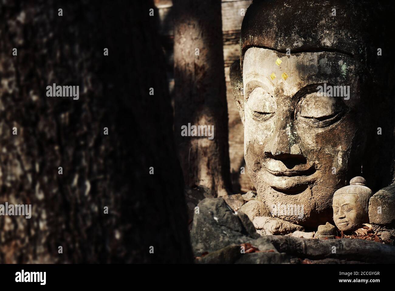 Worship of buddha statue in Thailand, History of Thailand. Buddha statue at Chiangmai Historical temple. Chiang Mai Province, Thailand , Asia Stock Photo