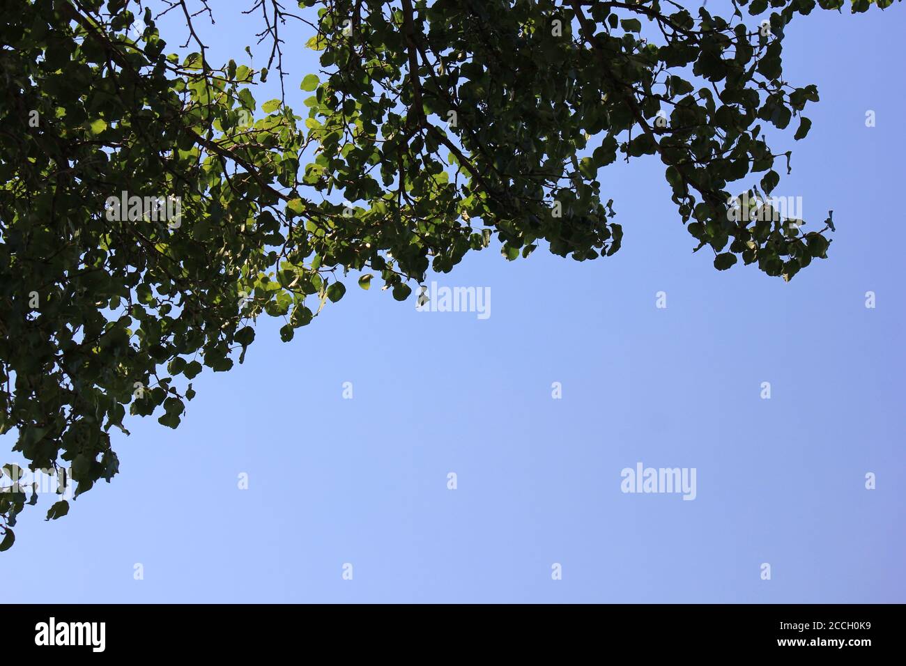 Day off in park time hi-res stock photography and images - Alamy