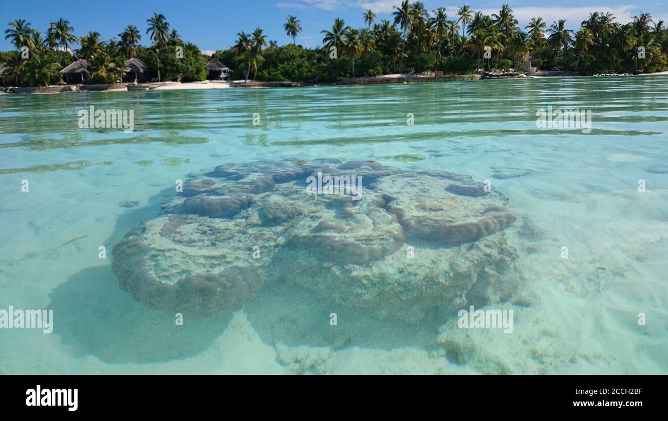 Clear underwater hi-res stock photography and images - Alamy