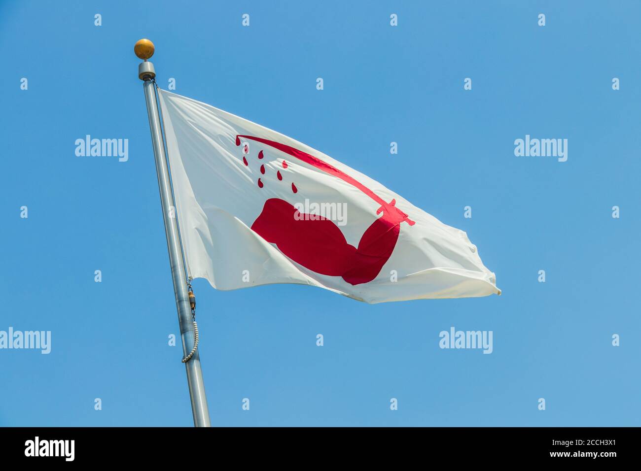 Lone Star Monument and Historical Flags Park (Texas Revolution Flags) in Conroe, Texas. Stock Photo