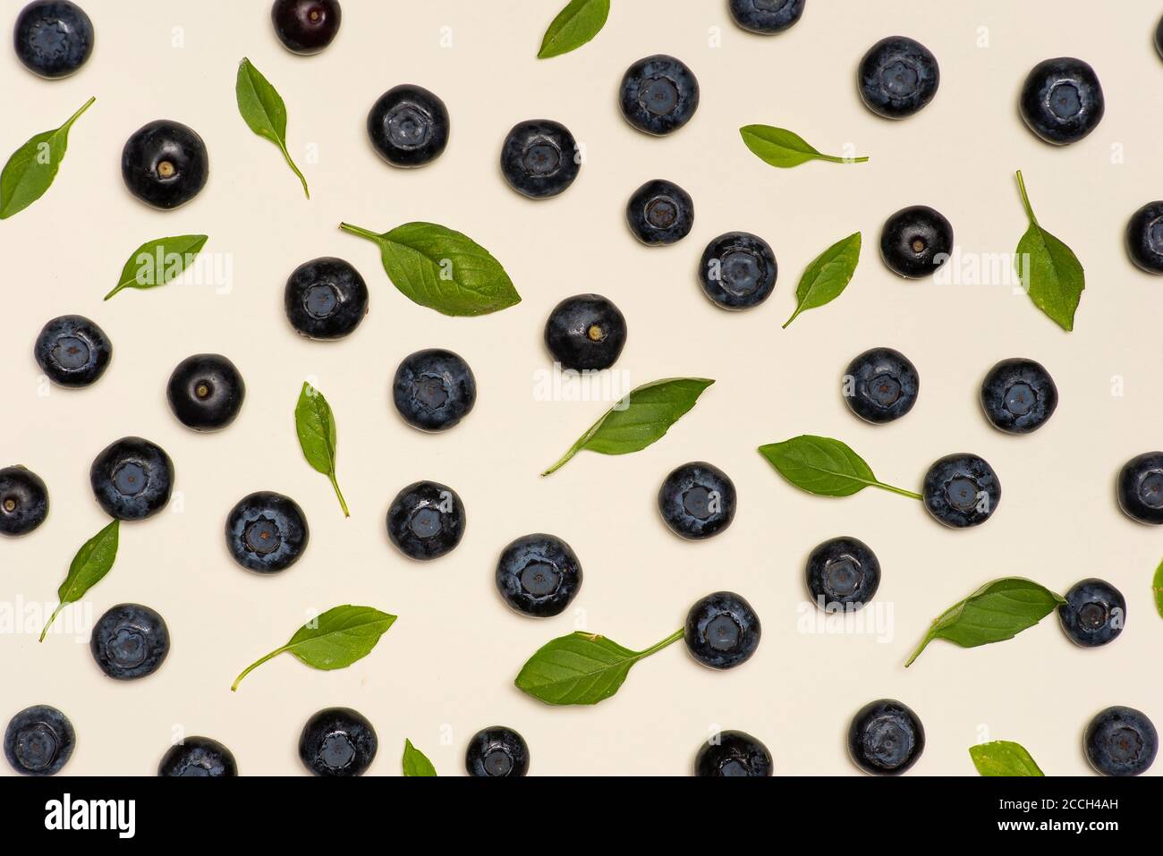 Blueberry fruit flat lay background top view Stock Photo