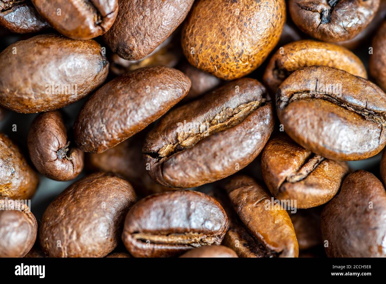 beautiful coffee beans medium roast macro-shooting Stock Photo