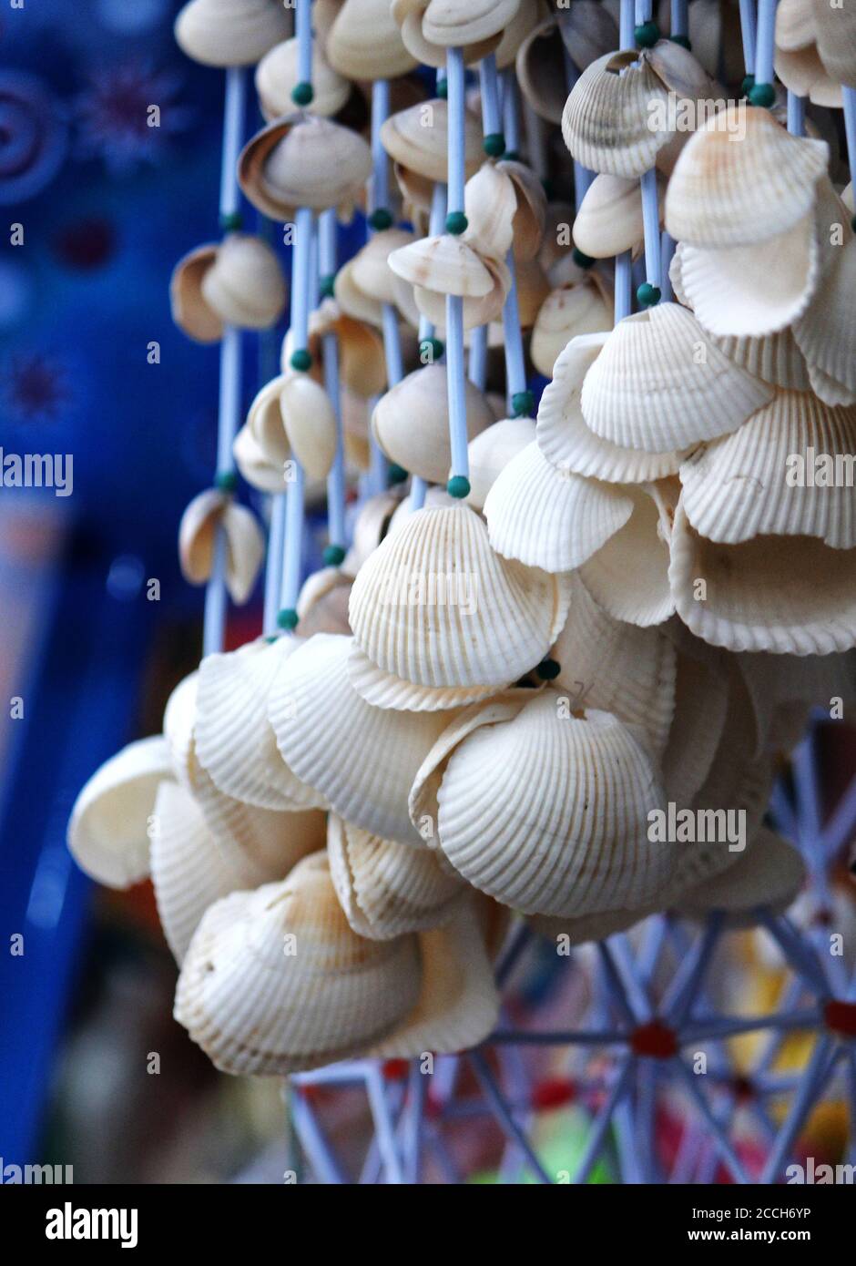 seashell windchime Stock Photo