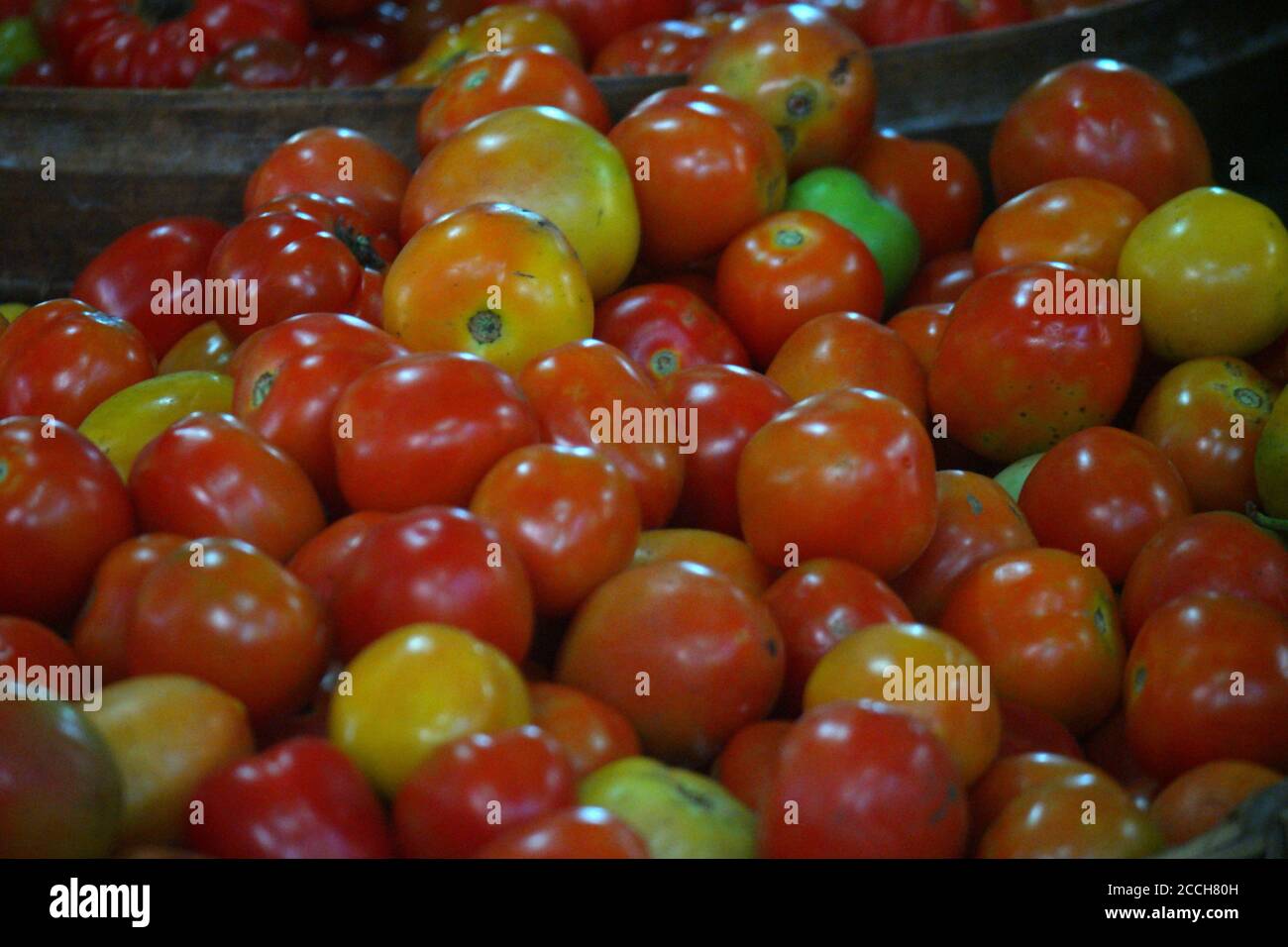 Pile of freshly harvested tomatoes in the market Stock Photo - Alamy