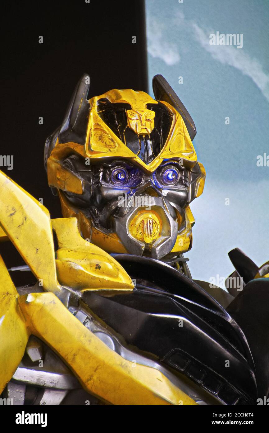 Bumble Bee Wallpaper Age Of Extinction