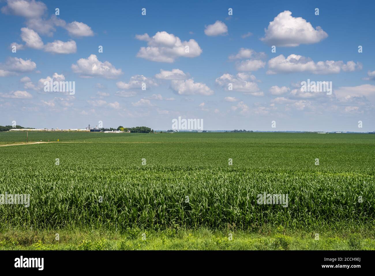 Iowa Corn Fields Hi-res Stock Photography And Images - Alamy