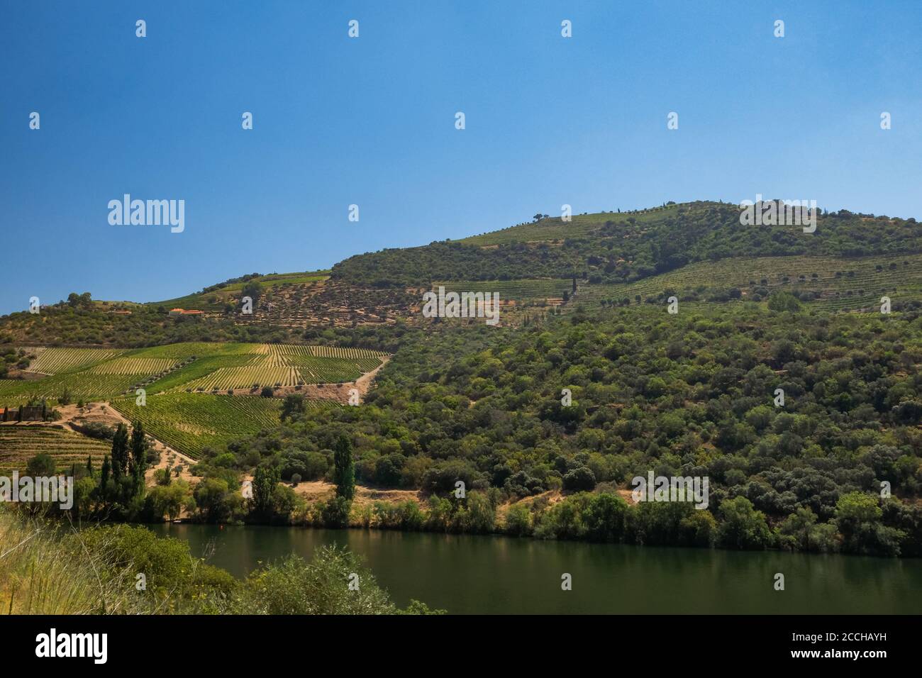 Beautiful Panoramic view of The Valley of the River Douro, Portugal - Port Wine Vineyards Region with Man-made Terraces on Green Hills Slopes Stock Photo