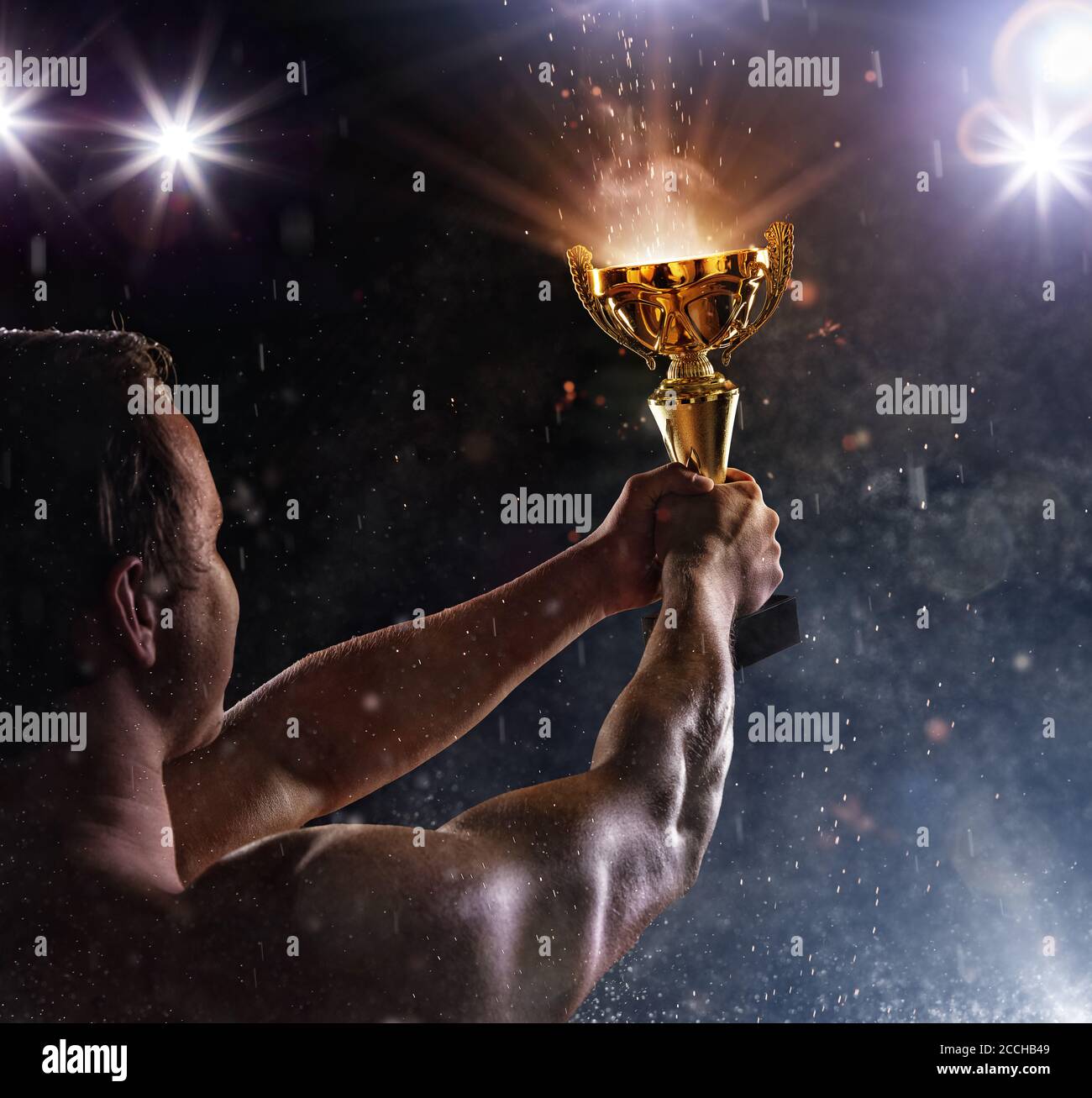 Back view of man fighter holding trophy cup in hands, victory gesture. Concept of hard work, glory and success. Very high resolution image Stock Photo