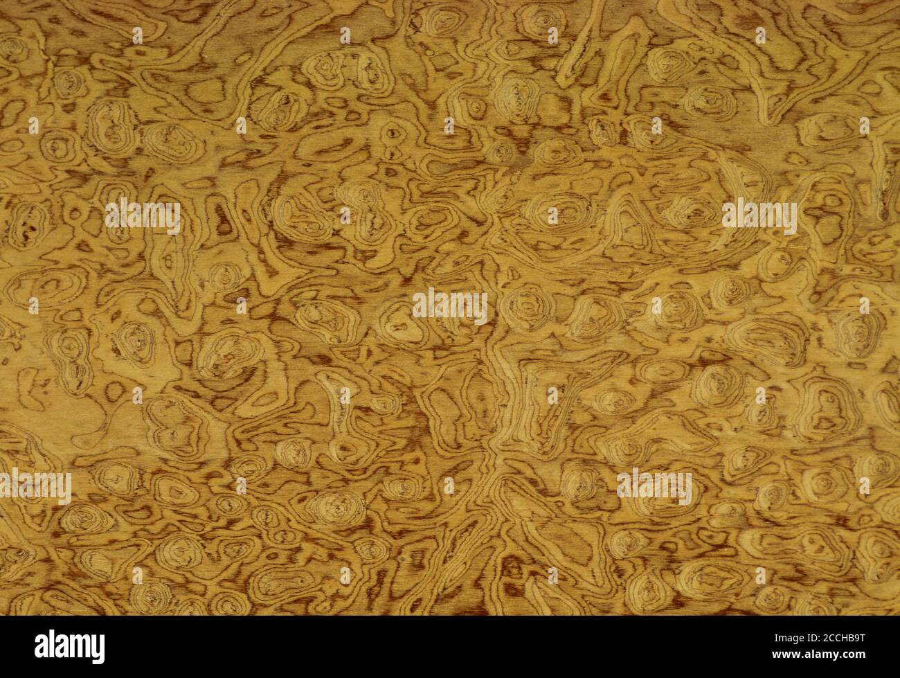 Examples of wood veneers by being coated on chipboard. Veneer made of