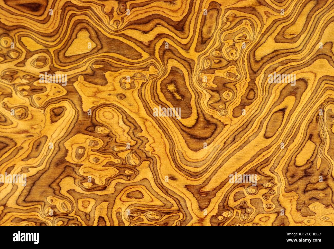 Examples of wood veneers by being coated on chipboard. Veneer made of