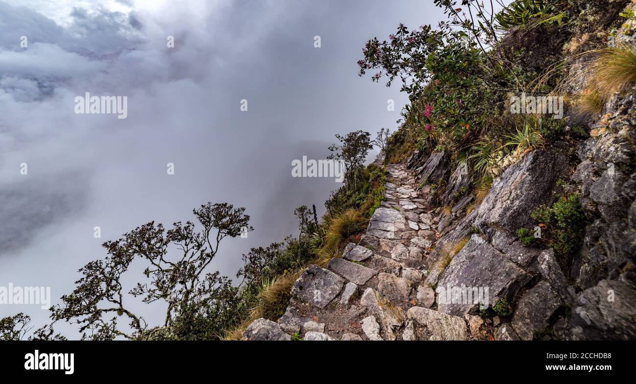 Hiking trail from Inca Ruins of Machu Picchu, Peru, 2,430 masl, to the top of Machu Picchu mountain, 3,082 masl, 1600 steps and stone trails. At the t Stock Photo
