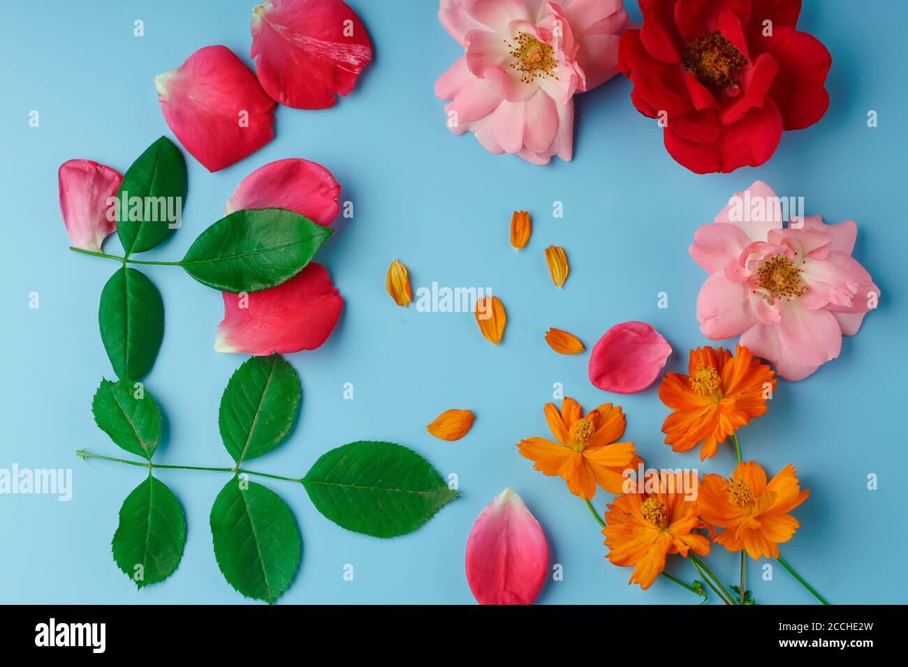 Pressed flower rose hi res stock photography and images Alamy