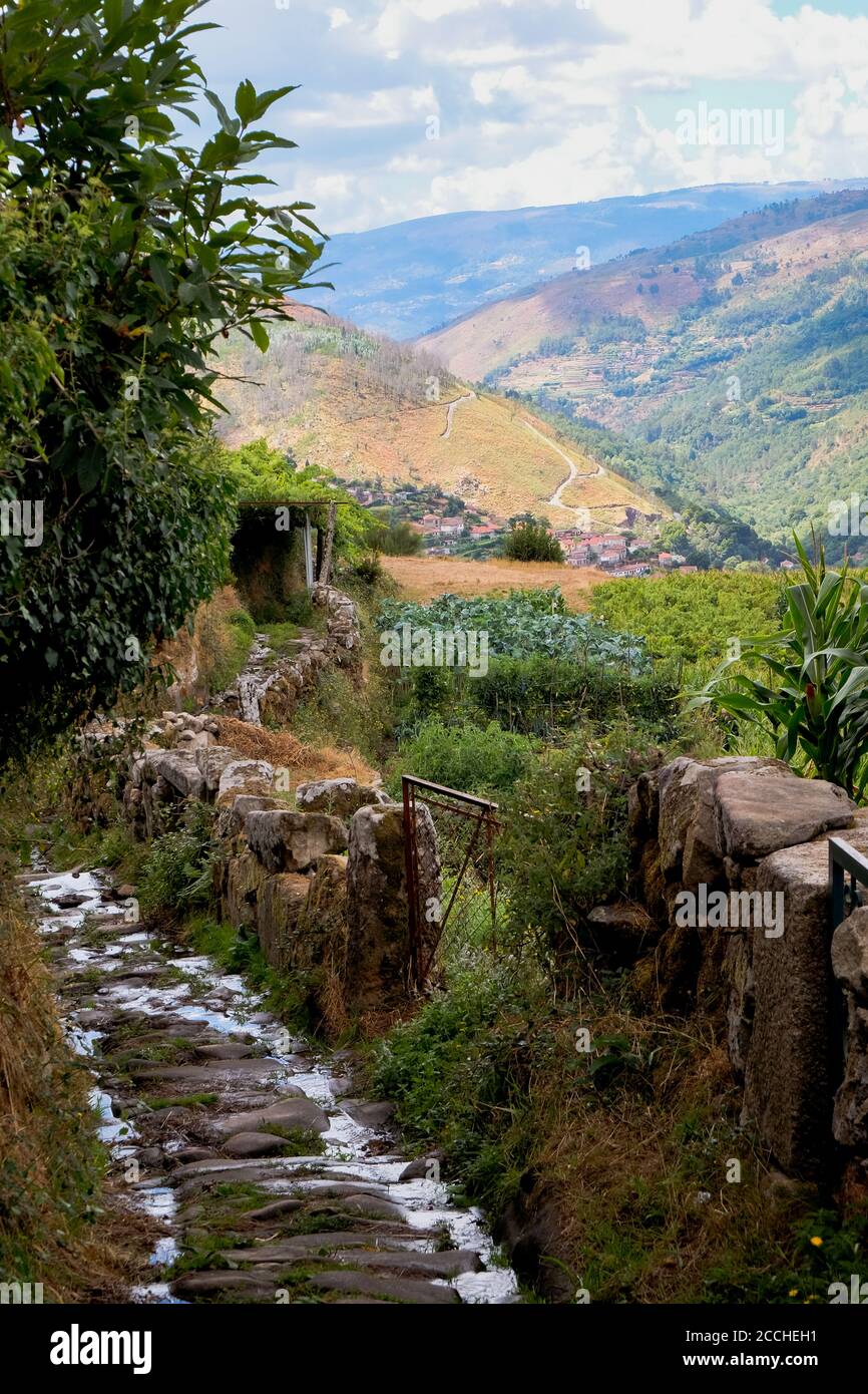 Sistelo, Portugal: Hiking Stone Path in the Mountains with Vinyards - Nature, Pure, Free, Wild Stock Photo