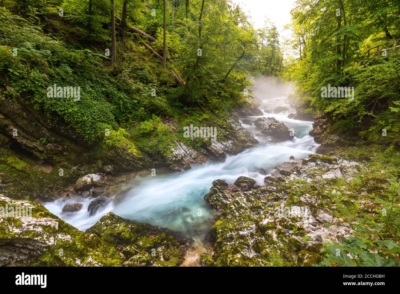 Wide angle view of the Slovenian gorge of Vintgar, with a torrent running between rocks and into rapids surrounded by vegetation Stock Photo