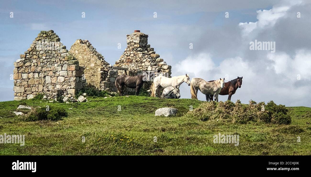 Old irish cottage hi-res stock photography and images - Alamy