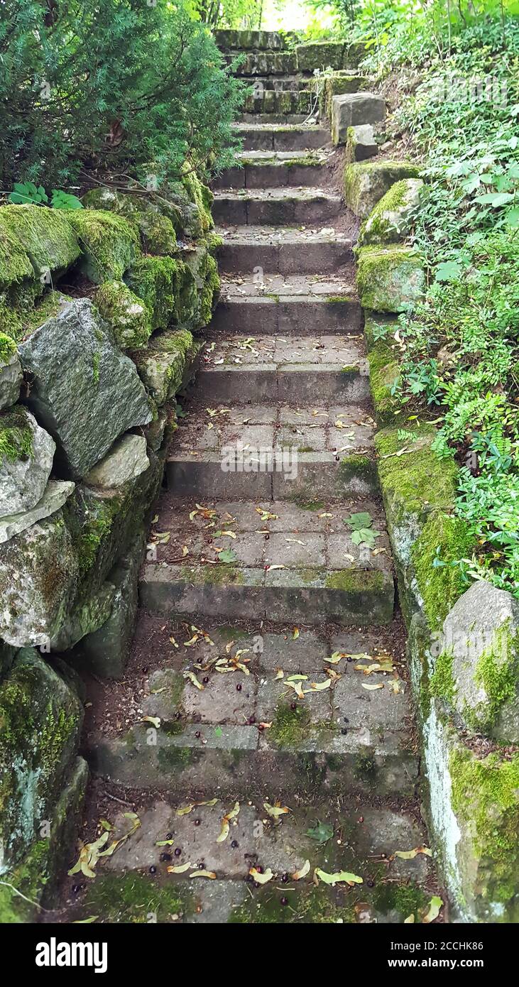 Stairs on the hiking trail through the forest Stock Photo Alamy