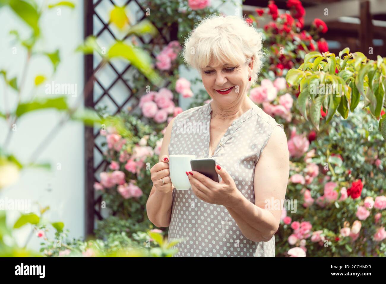 Senior lady or grandmother using phone to text her family Stock Photo
