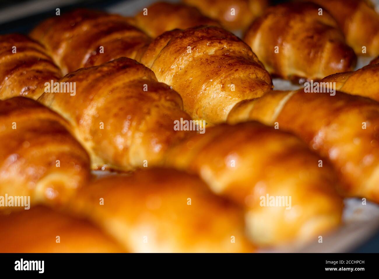 home bakery making croissants Stock Photo