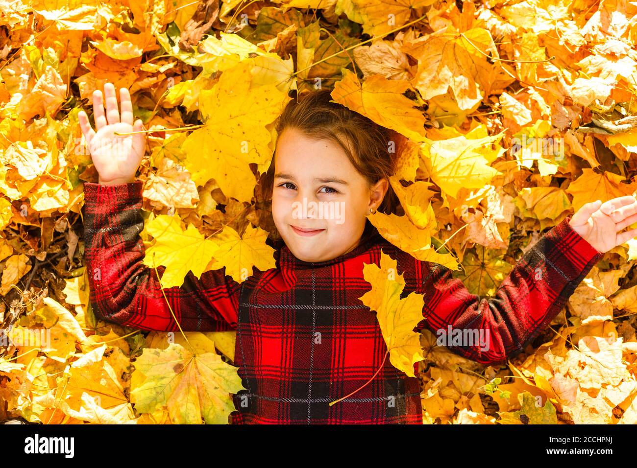 Beautiful little girl with autumn leaves outdoors Stock Photo - Alamy